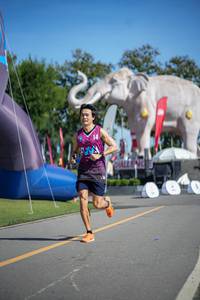 BIB: 
                            <button type="button" onclick="openModal(26542638)" class="btn btn-primary btn-sm float-right btn-popup" data-toggle="modal" data-target=".modal-high-quality">
                        <i class="fas fa-shopping-cart"></i> Add to Cart
                    </button>
                                            <button type="button" onclick="isThisMe(26542638, true)" class="btn btn-success btn-sm float-right btn-popup btn-isme hidden" data-toggle="tooltip" data-placement="bottom" title="นี่คือรูปของคุณใช่ไหม คลิกที่นี่เพื่อเอาเข้าอัลบั้ม">
                        <i class="fas fa-plus"></i> Add to album
                    </button>
                    <button type="button" onclick="isThisMe(26542638, false)" class="btn btn-warning btn-sm float-right btn-popup btn-isnotme hidden">
                        <i class="fas fa-ban"></i> Remove from album
                    </button>